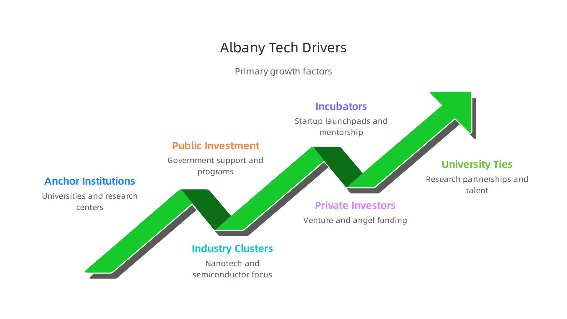 Visual representation of the primary factors contributing to the rapid growth and success of the Albany tech scene.
